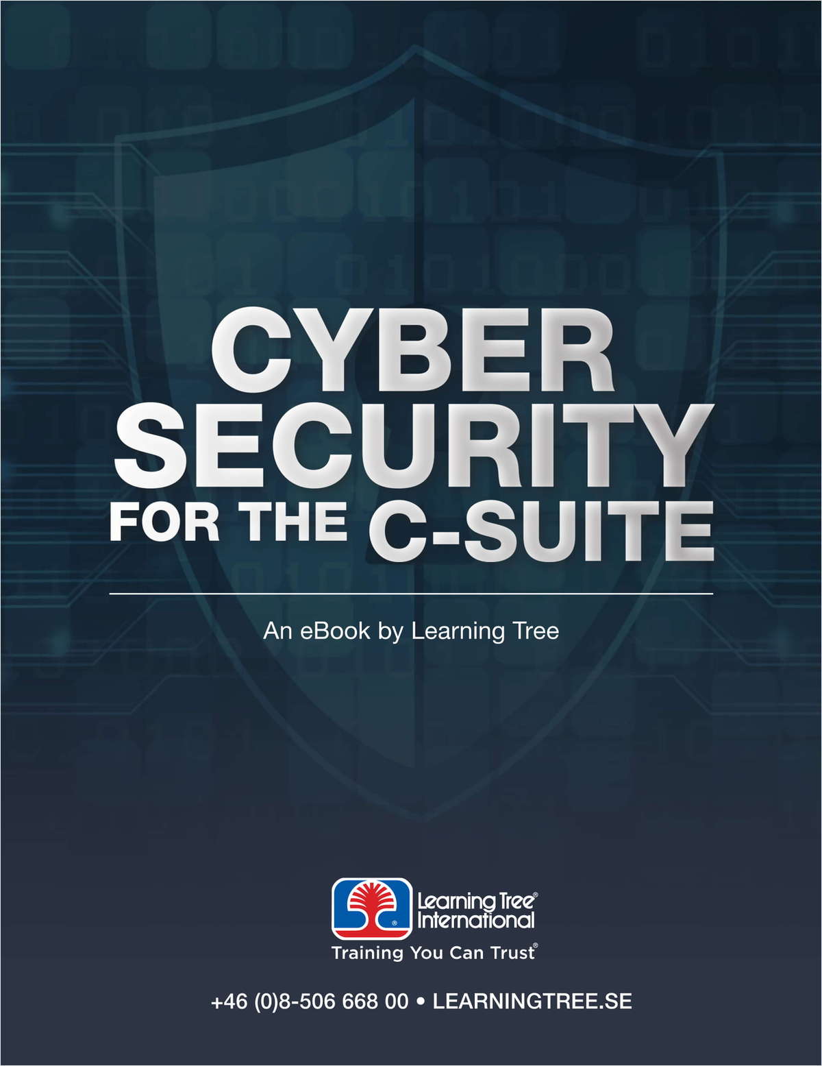Cyber Security for the C-Suite - SE