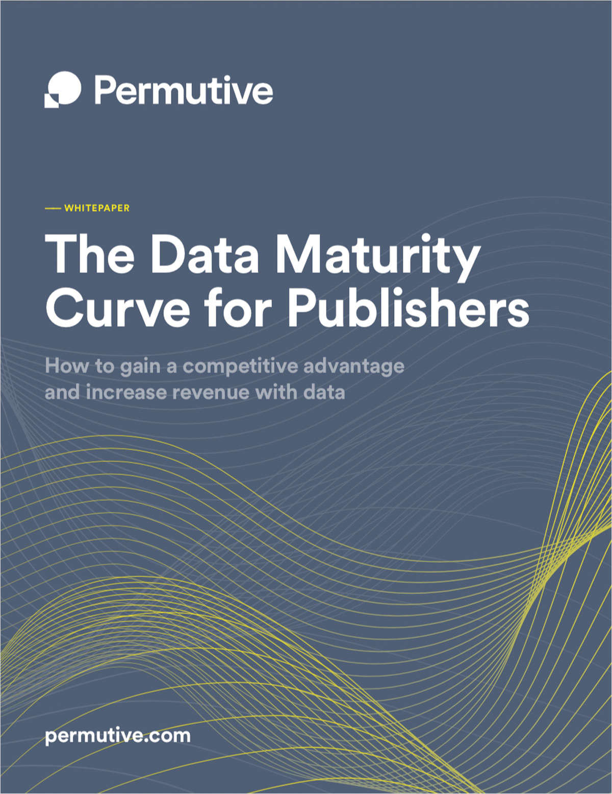 The Data Maturity Curve for Publishers