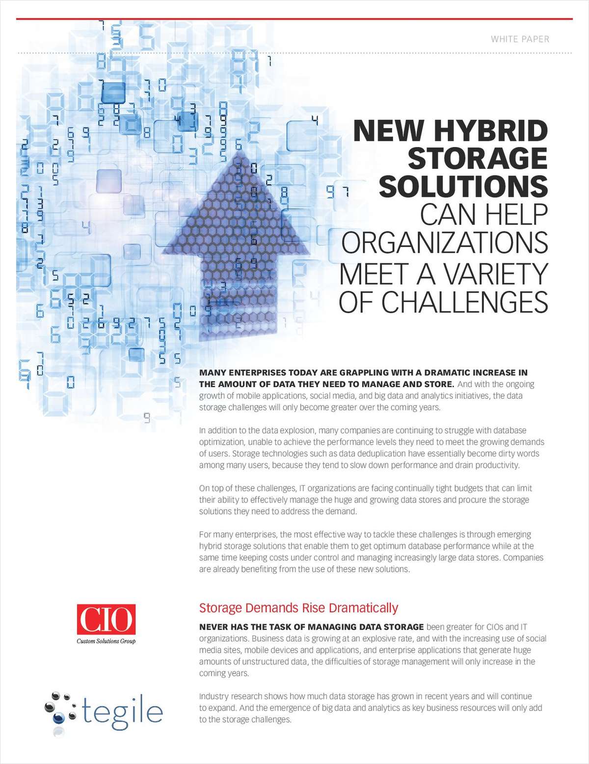 CIO: New Hybrid Storage Solutions
