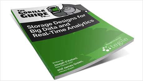 Gorilla Guide - Storage Designs for Big Data and Real-Time Analytics