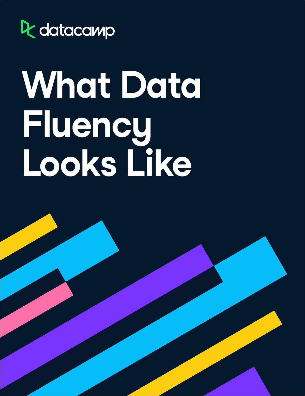 Whitepaper | What Data Fluency Looks Like