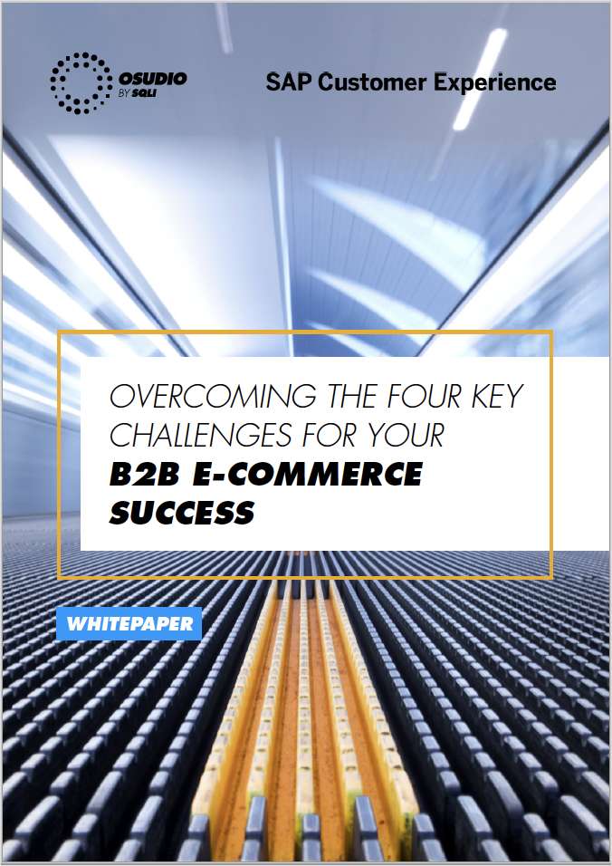 The B2B Guide to the 4 key E-commerce Challenges of Today