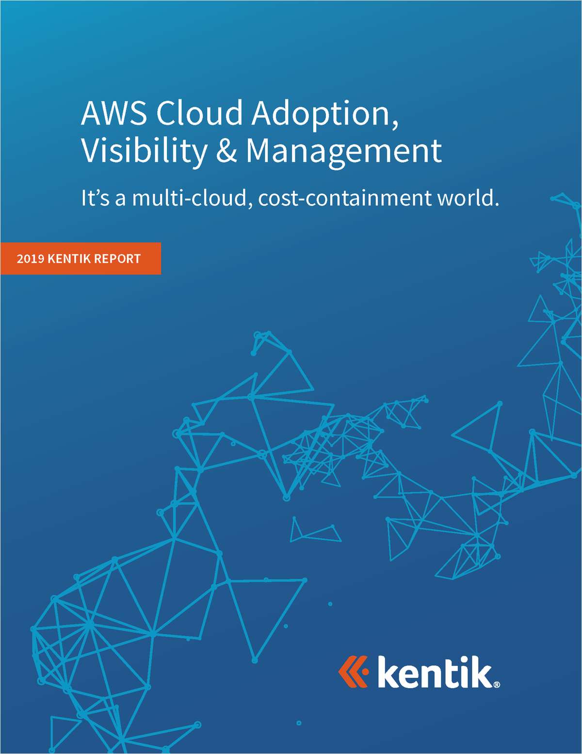 AWS Cloud Adoption, Visibility & Management 2019