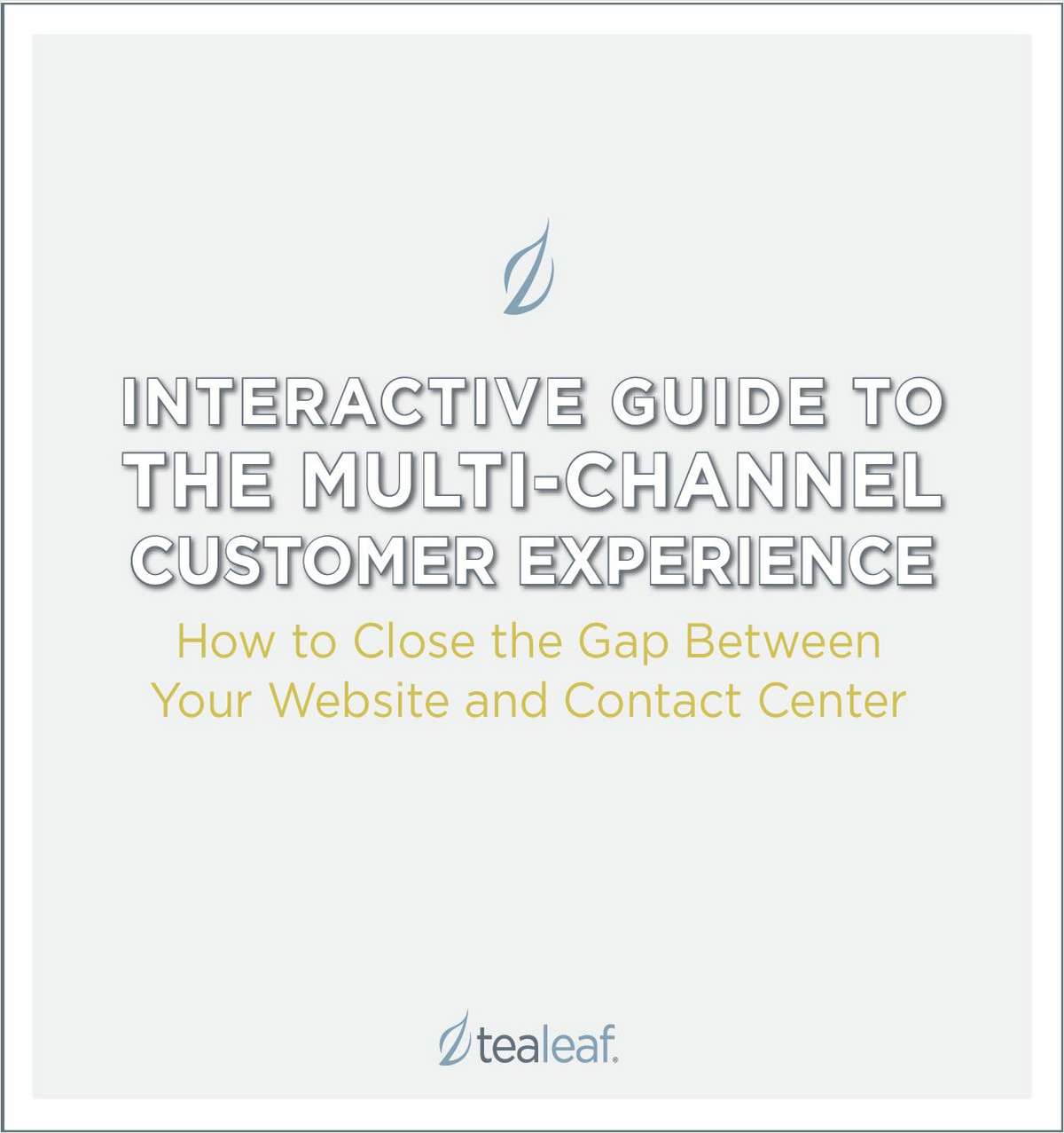 Guide to the Multi-Channel Customer Experience