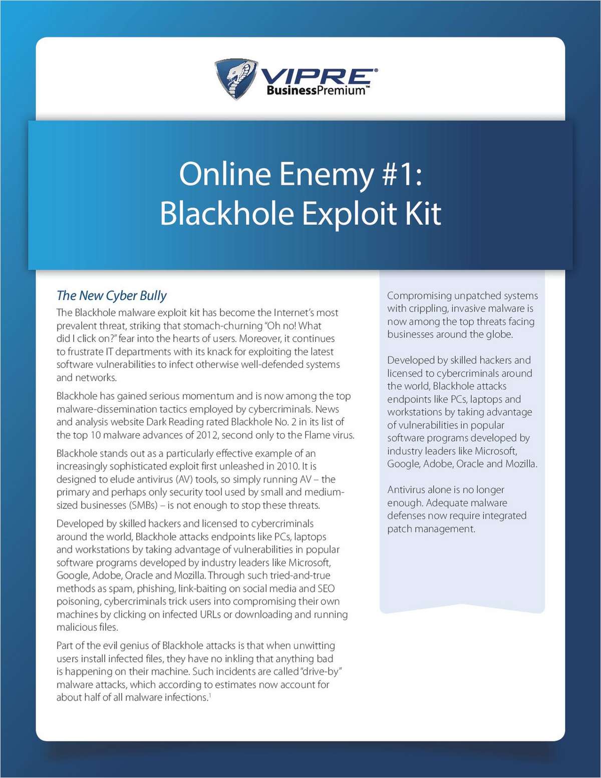 Online Enemy #1: Blackhole Exploit Kit