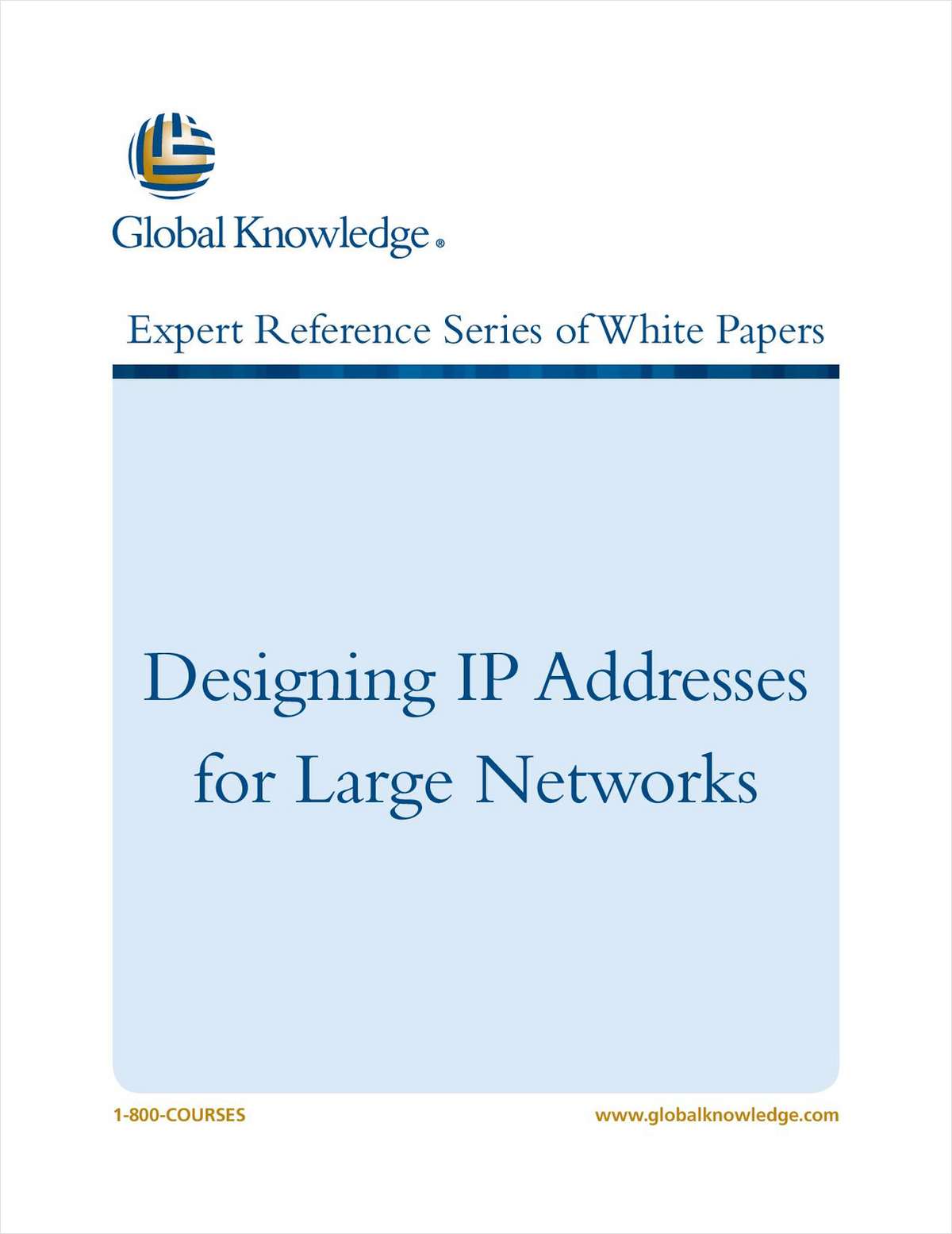 Designing IP Addresses for Large Networks