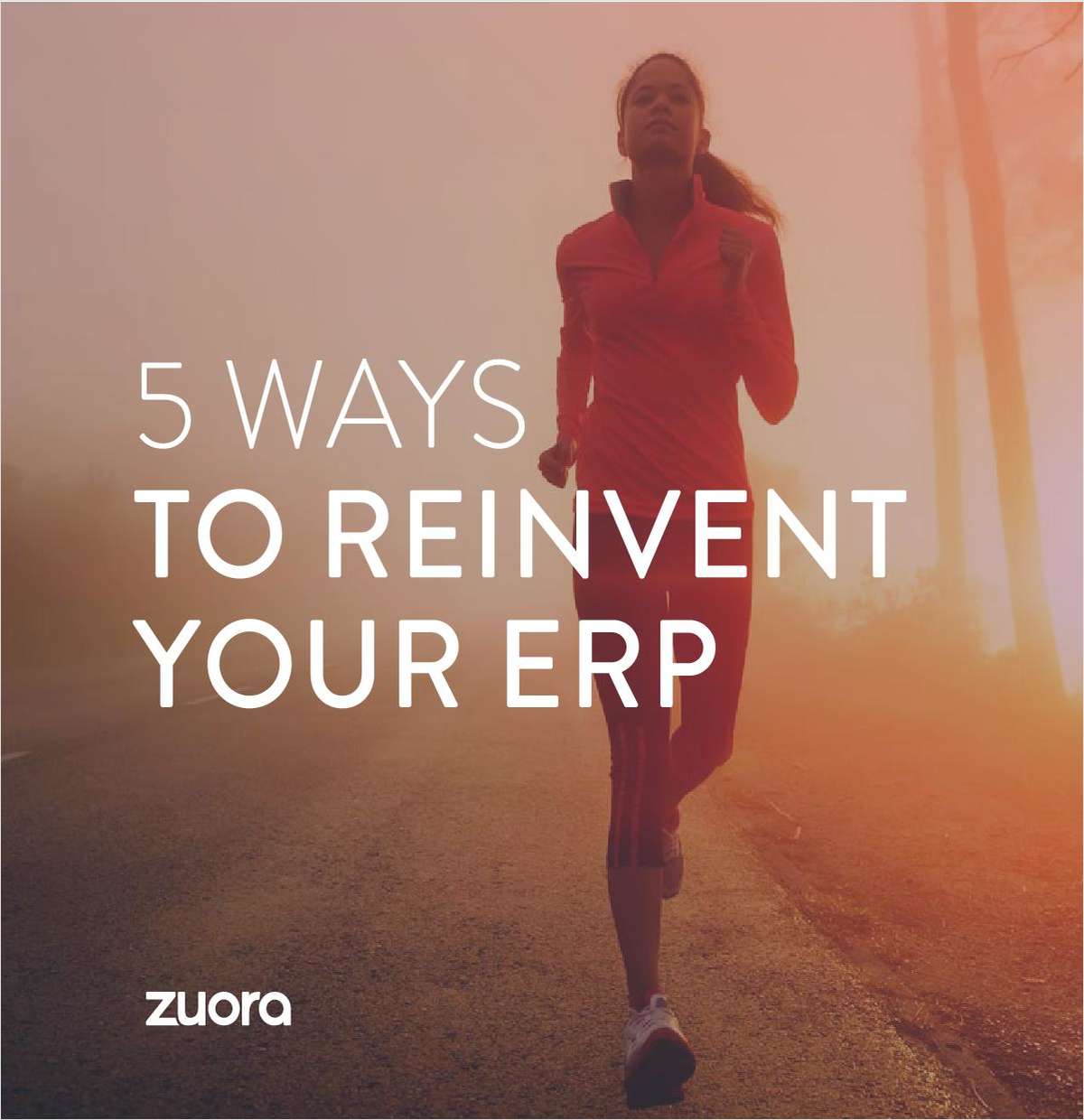 5 Ways to Reinvent your ERP