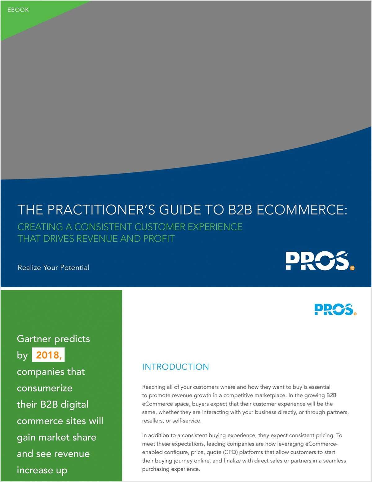 The Practitioner's Guide to B2B eCommerce