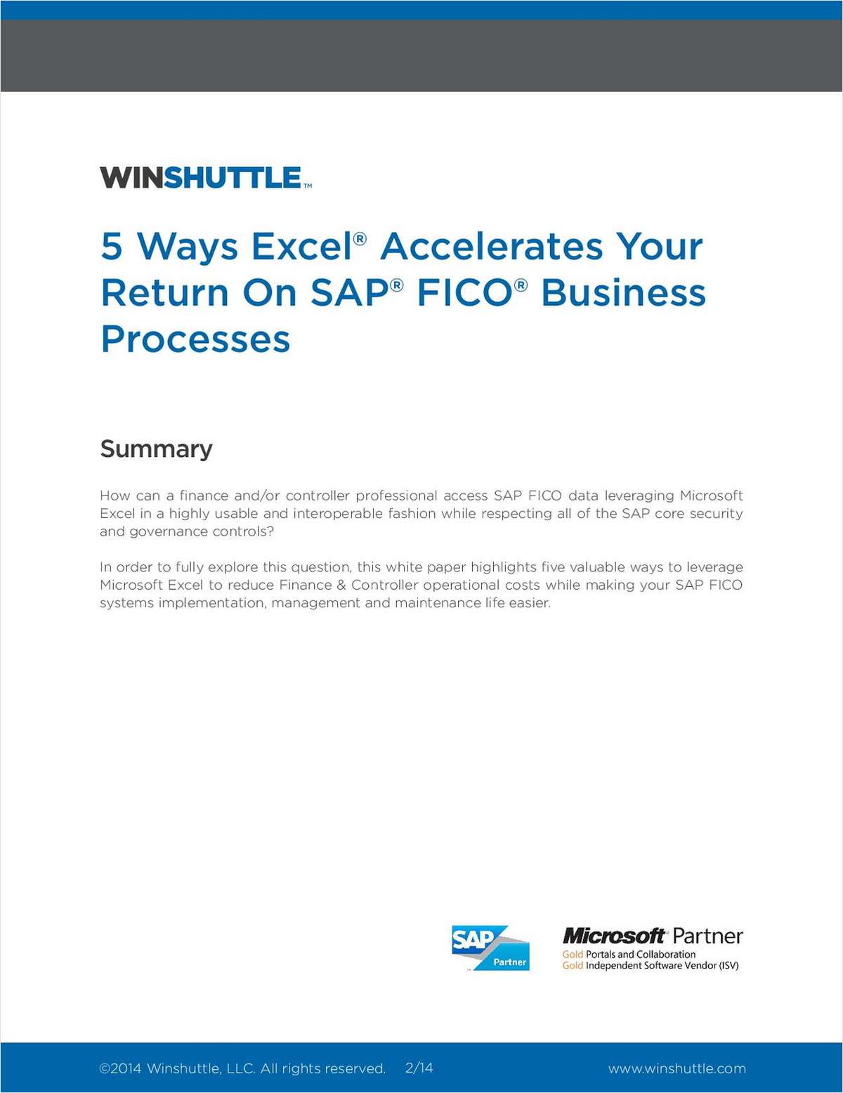 5 Ways Excel Accelerates Your Return on SAP FICO Business Processes