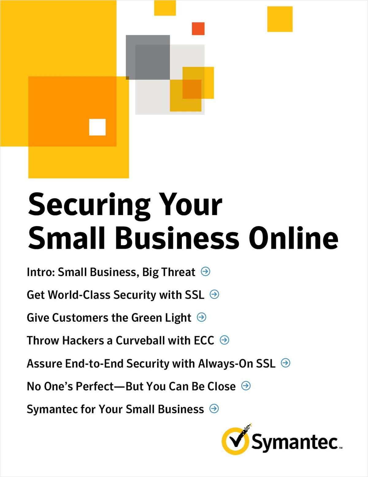 Securing You Small Business Online