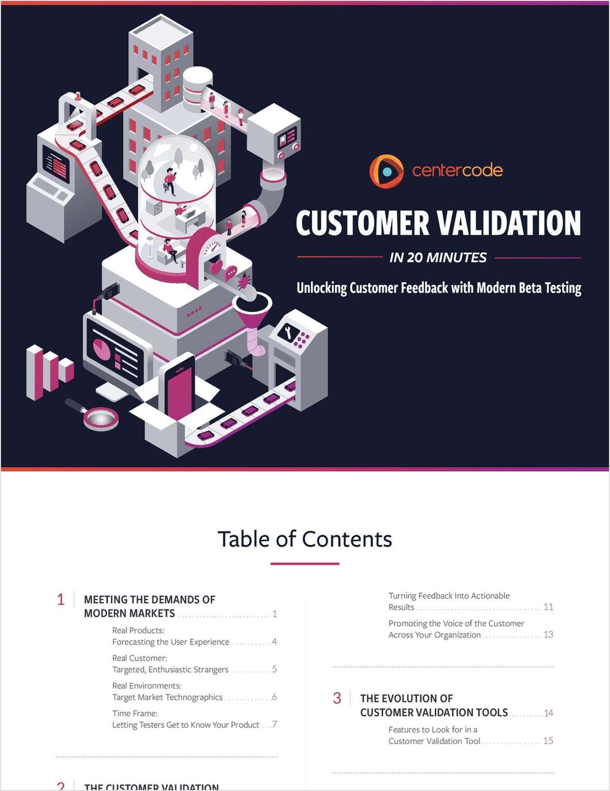 Customer Validation in 20 Minutes