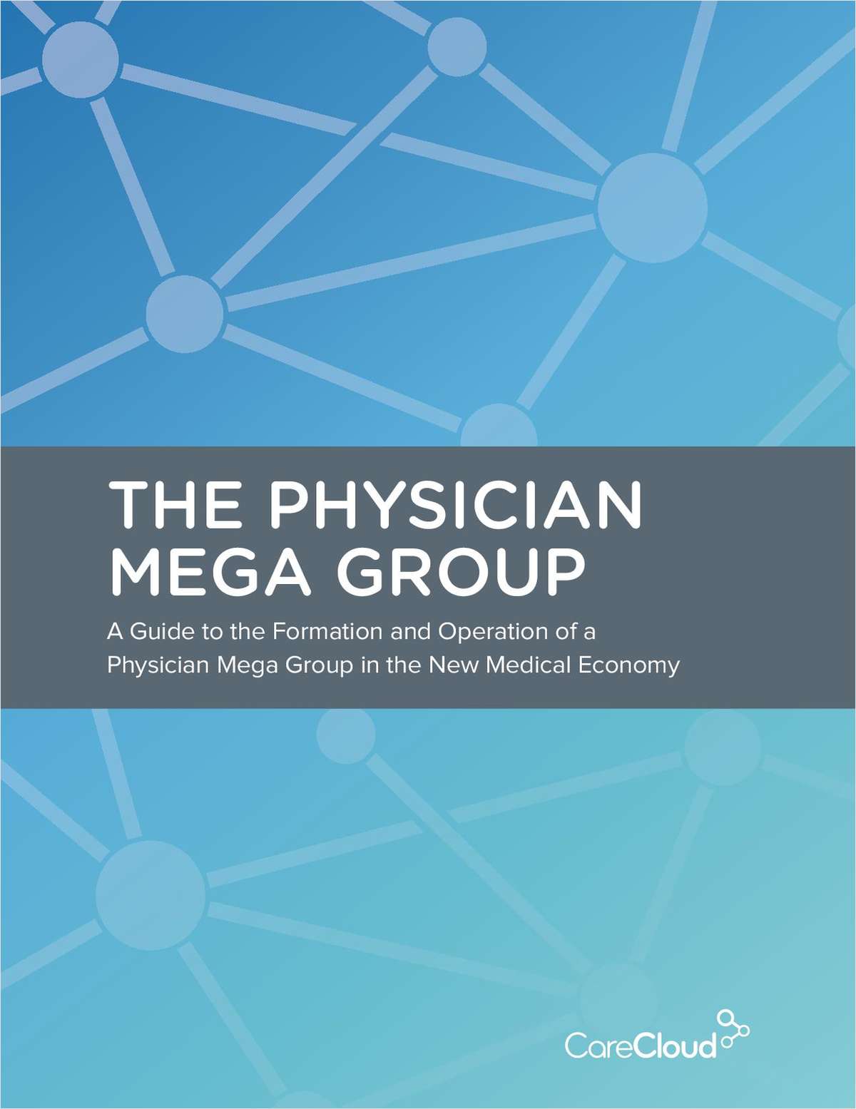 The Physician Mega Group: A Formation and Operations Guide