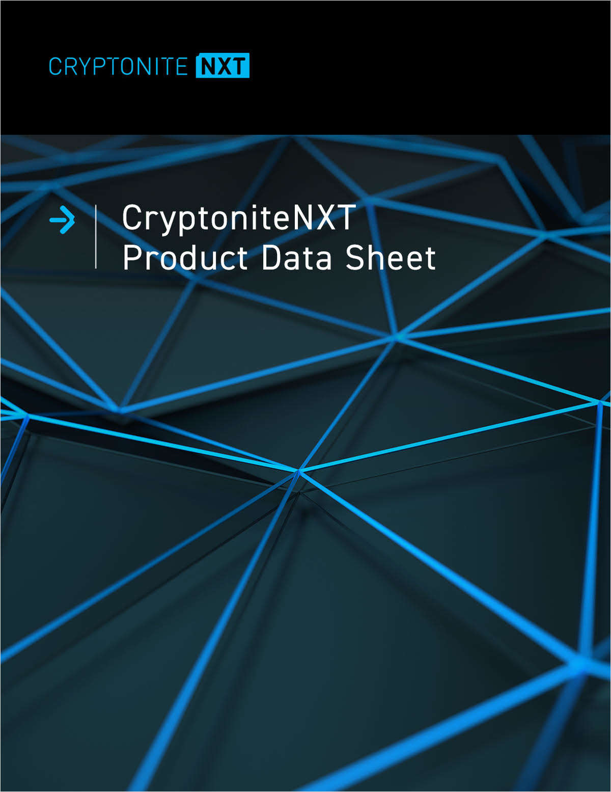 CryptoniteNXT Data Sheet