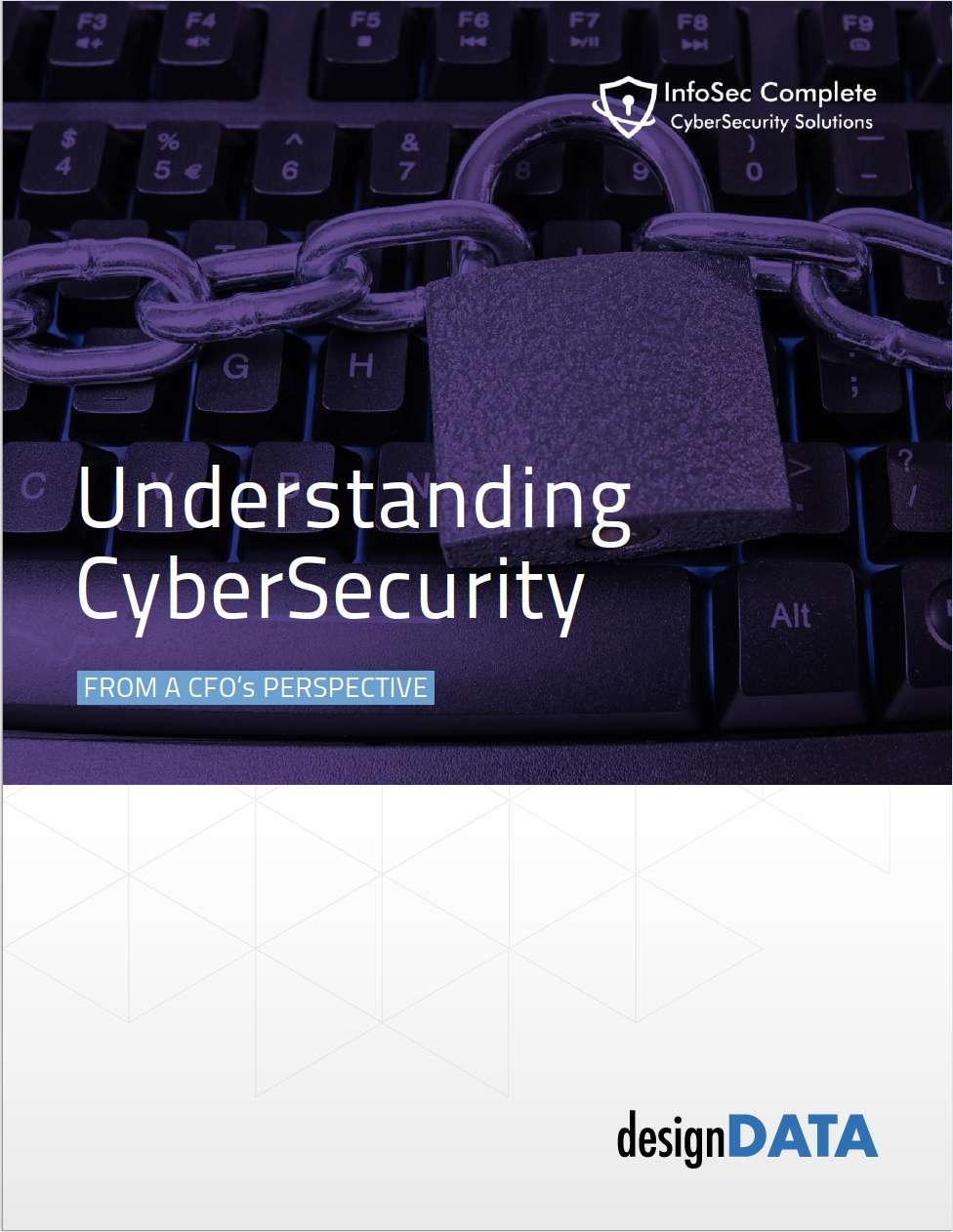 Understanding Cyber Security from a CFO's Perspective