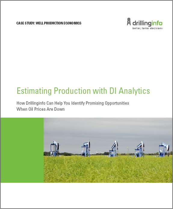 Case Study: Well Production Economics