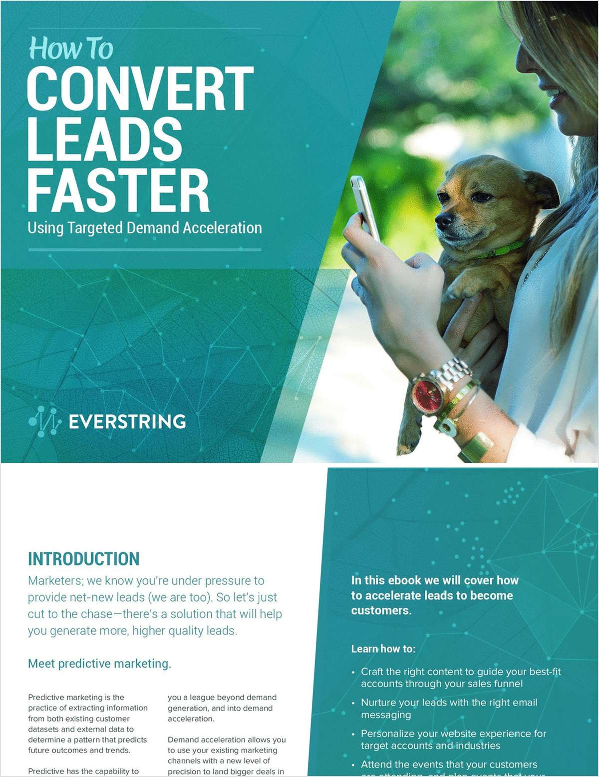 How to Convert Leads Faster Using Targeted Demand Acceleration