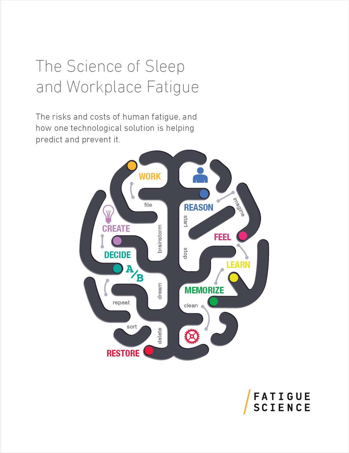 The Science of Sleep and Workplace Fatigue