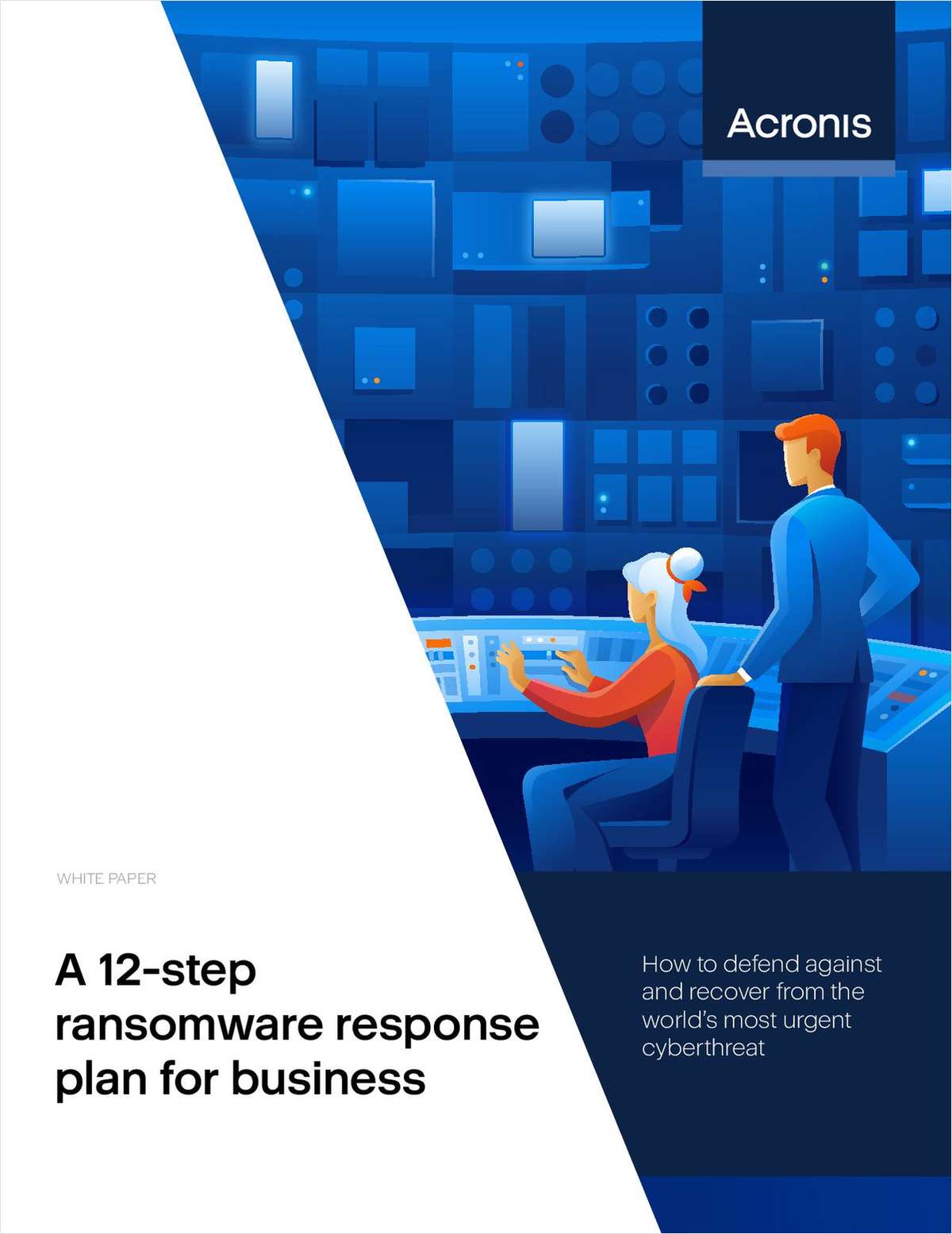 12-step ransomware response plan
