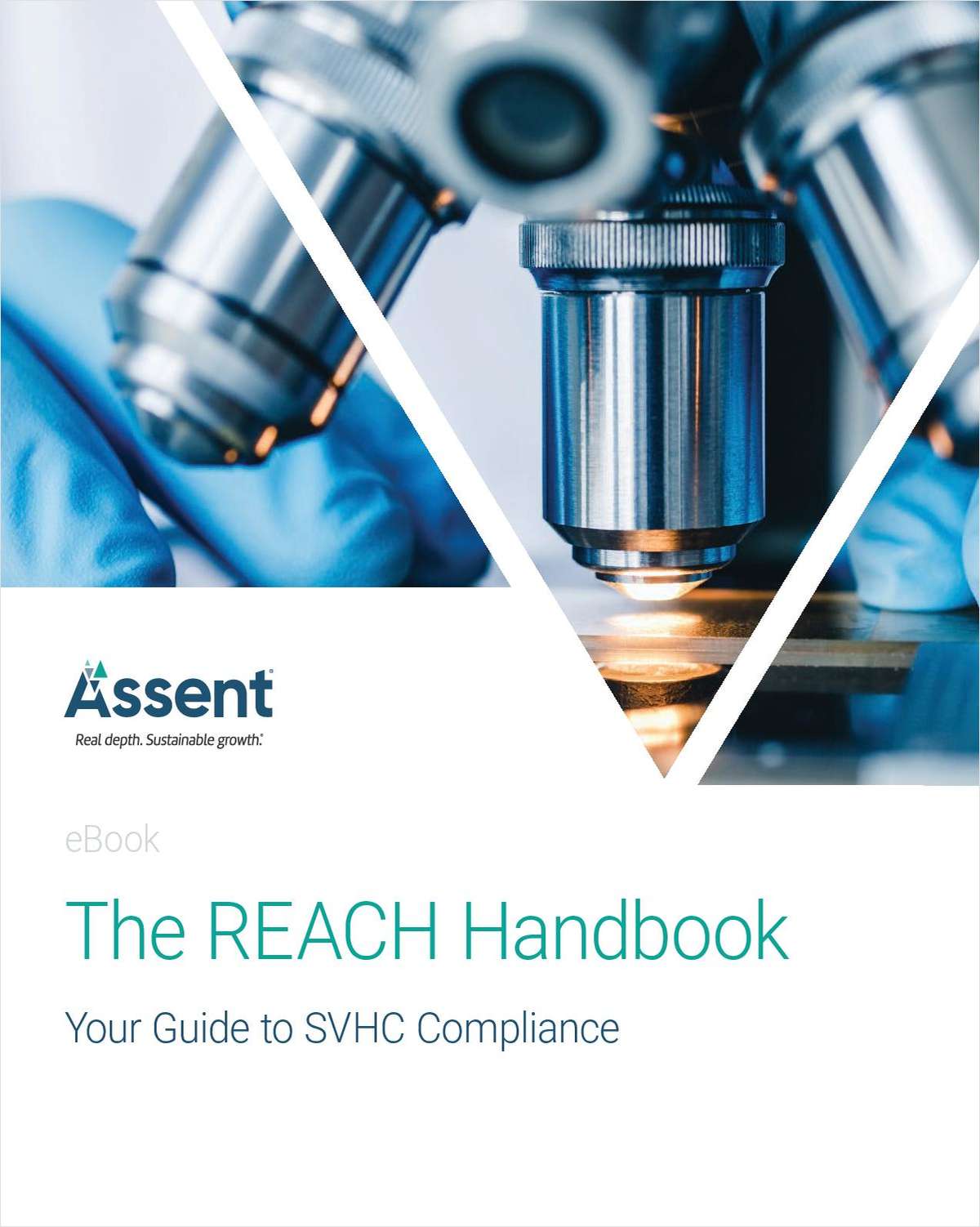 The REACH Handbook: Your Guide to SVHC Compliance