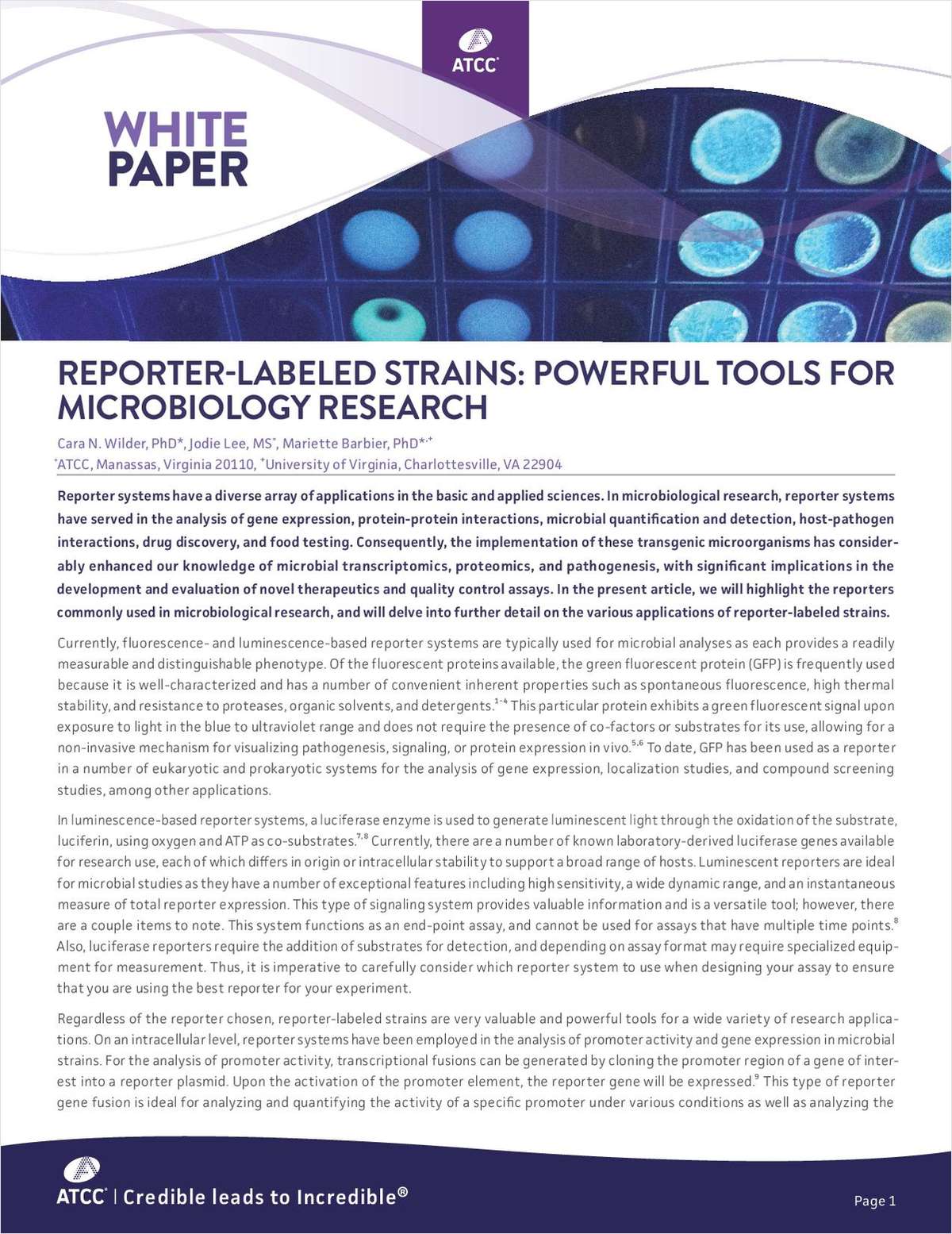 Reporter-Labeled Strains: Powerful Tools for Microbiology Research