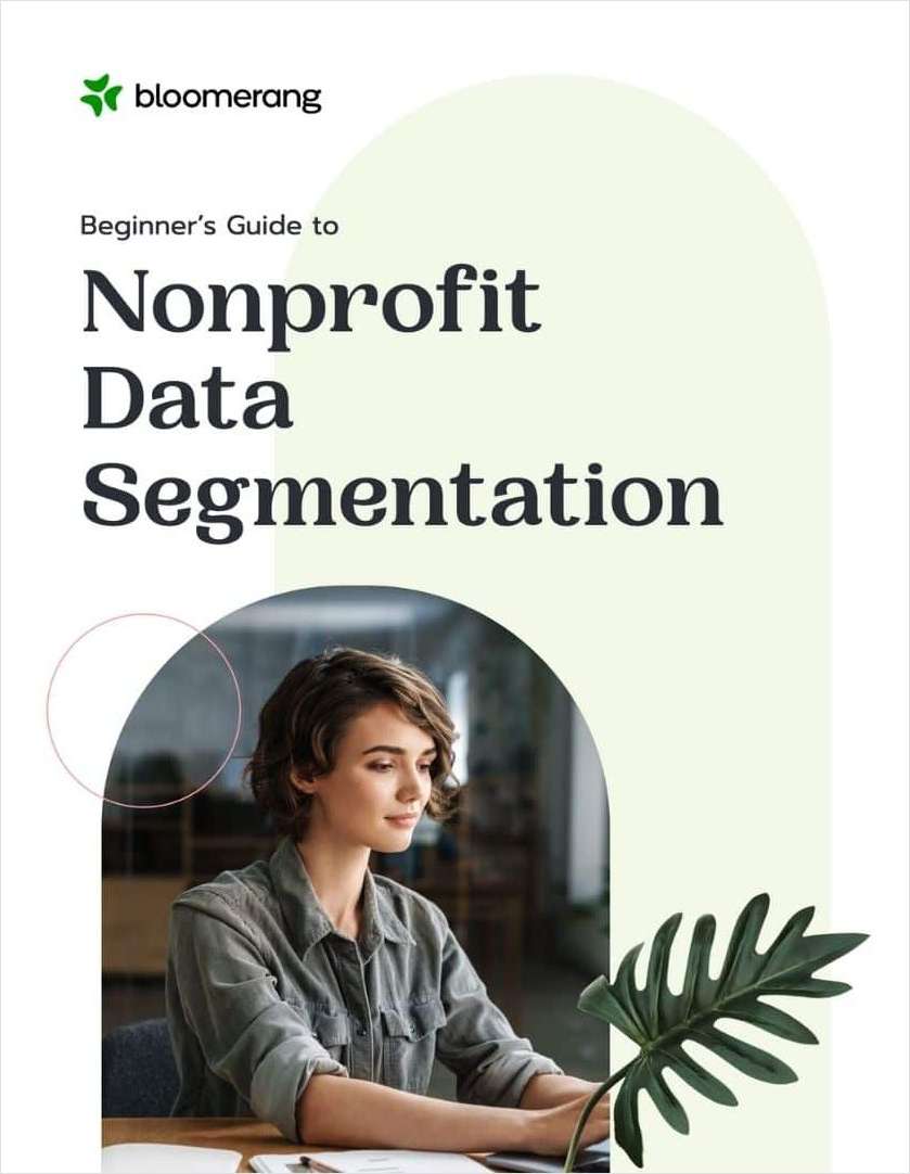 A Beginner's Guide to Nonprofit Data Segmentation