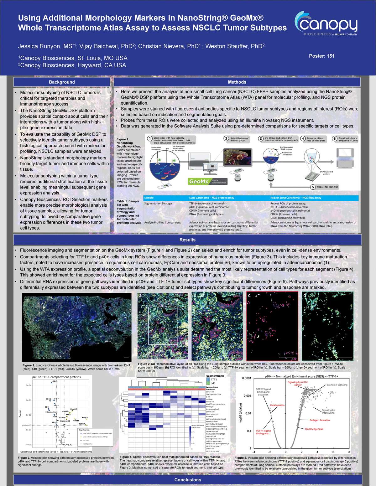 Using Additional Morphology Markers in NanoString GeoMx Whole-Transcriptome Atlas Assay to Assess NSCLC Tumor Subtypes