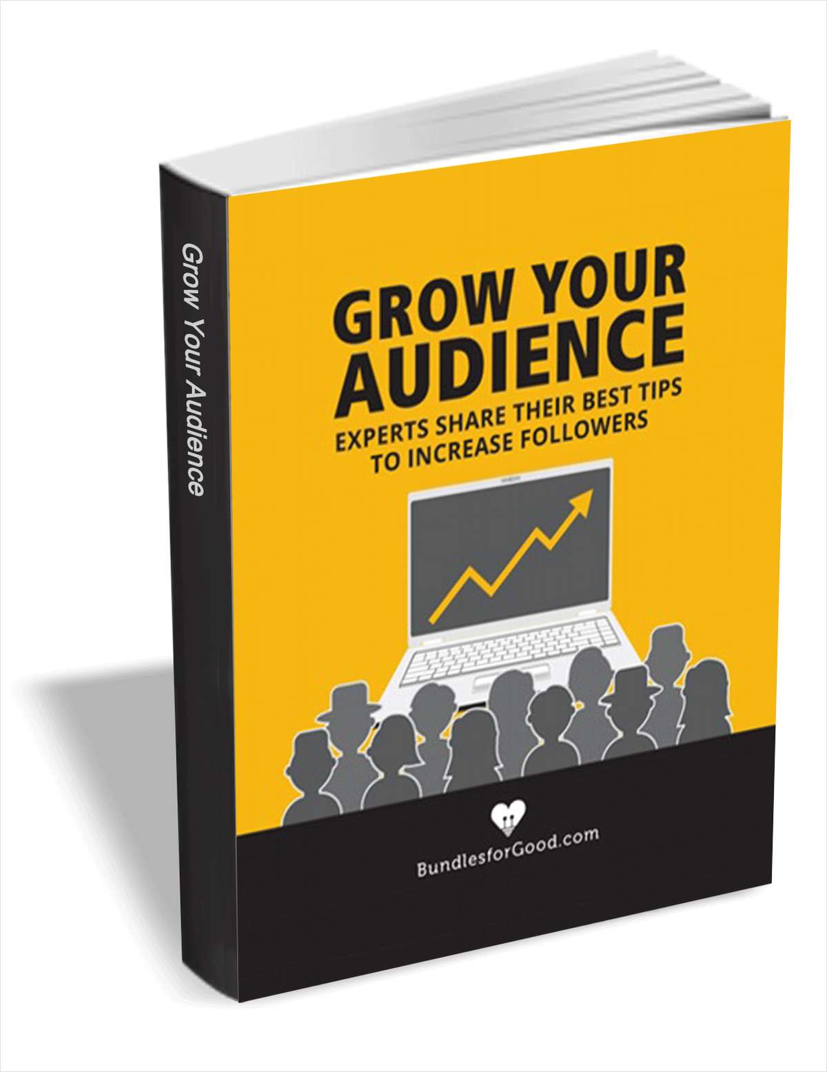 Grow Your Audience - Experts Share Their Best Tips to Increase Followers