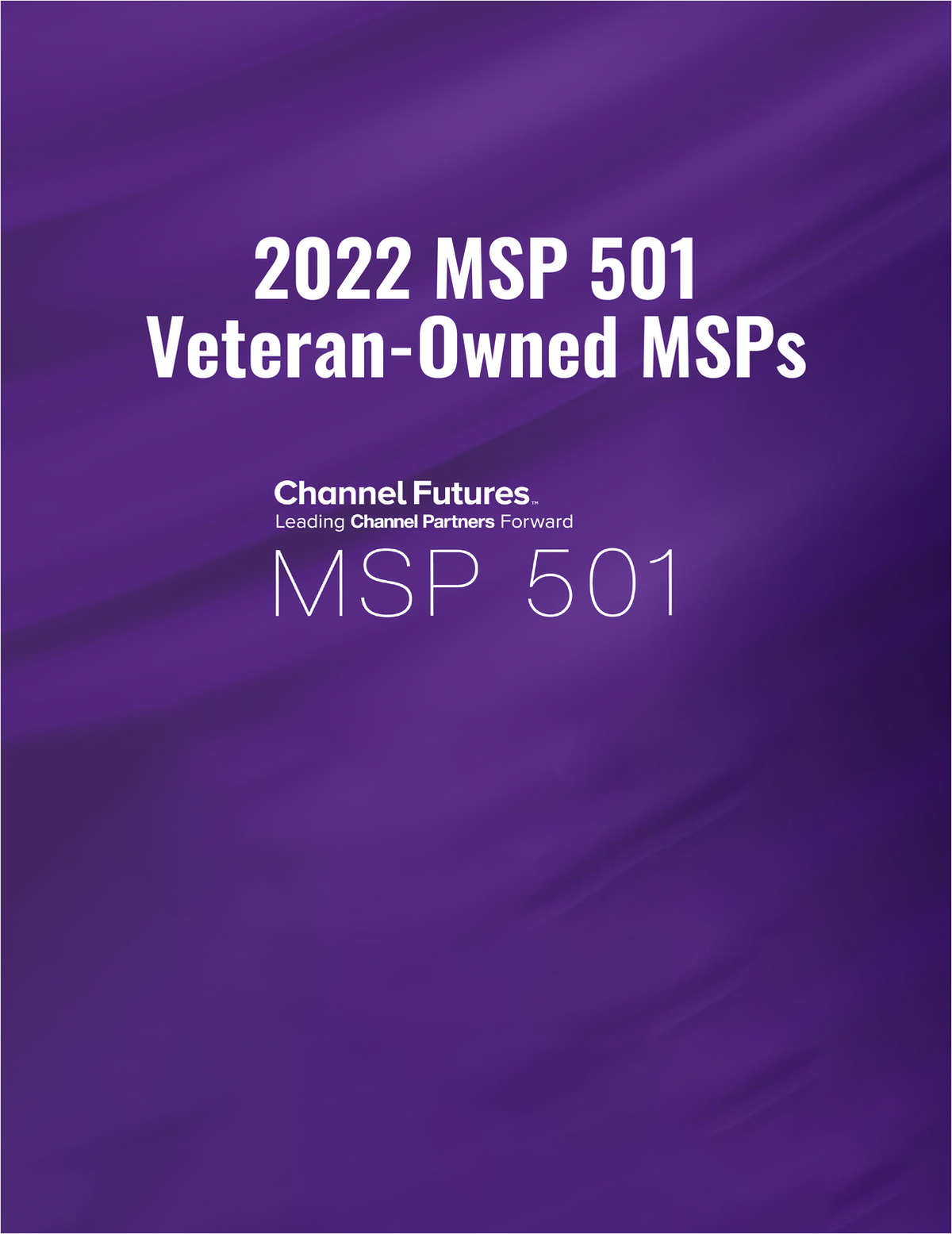 2022 MSP 501: Veteran-Owned MSPs
