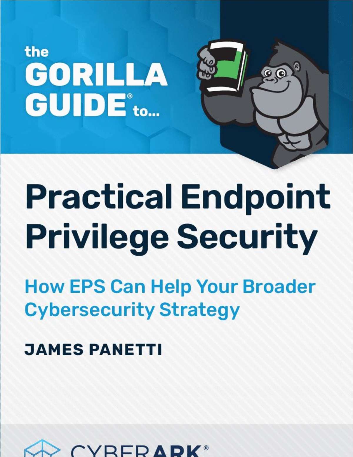 The Gorilla Guide to Practical Endpoint Privilege Security
