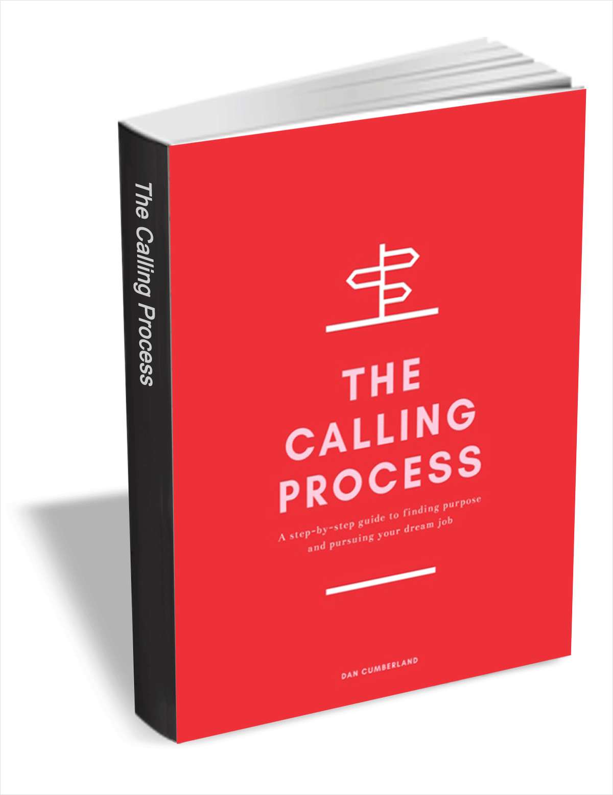 The Calling Process - A Step-by-Step Guide to Finding Purpose and Pursuing Your Dream Job