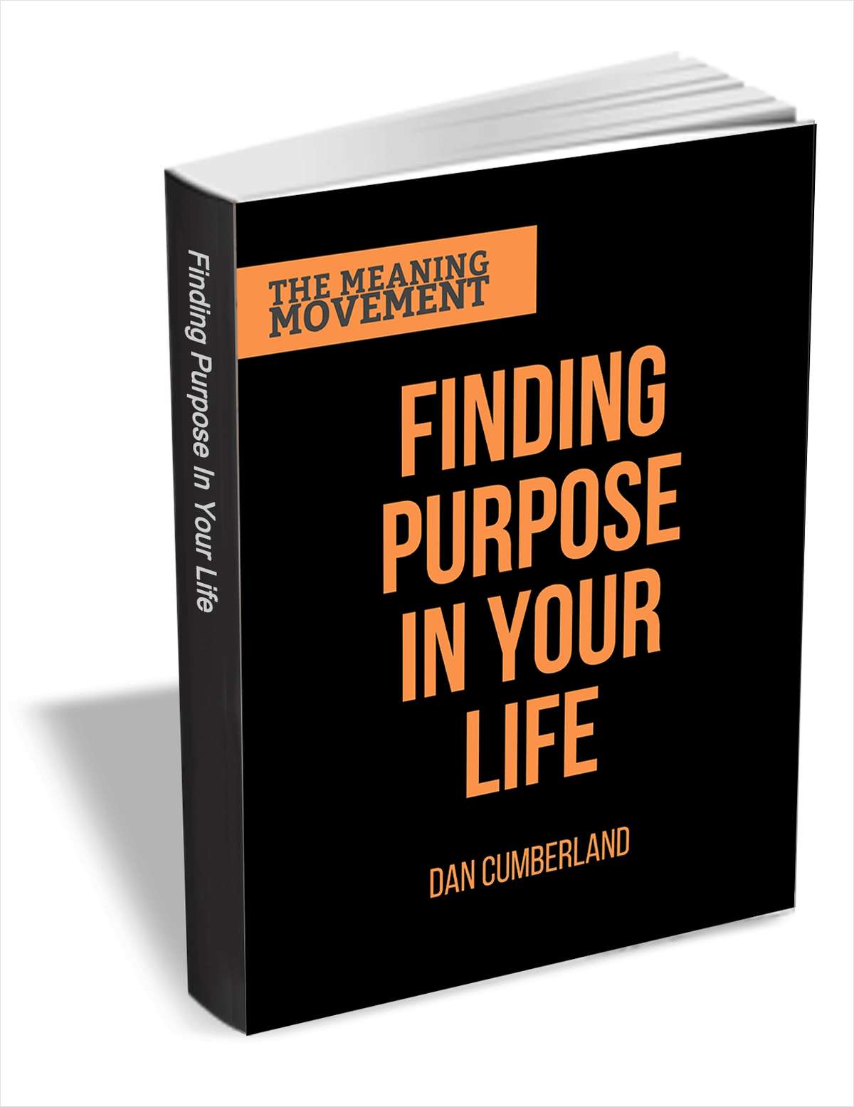 Finding Purpose in Your Life - The Guide to Finding Your Life's Work