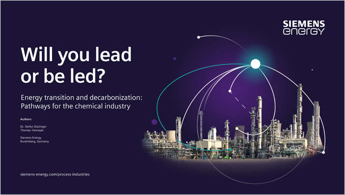 Energy transition and decarbonization: Pathways for the chemical industry