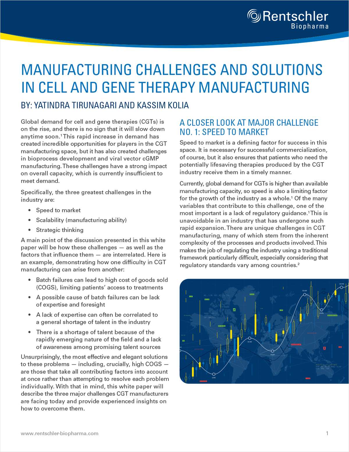 Manufacturing Challenges and Solutions in Cell and Gene Therapy Manufacturing