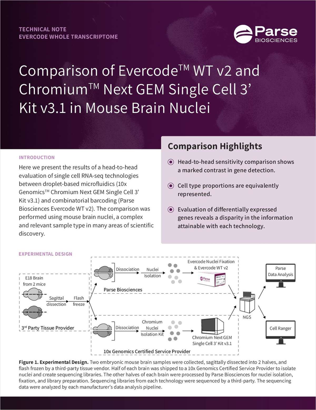 Comparison of Evercode WT v2 and Chromium Next GEM Single Cell 3' Kit v3.1 in Mouse Brain Nuclei