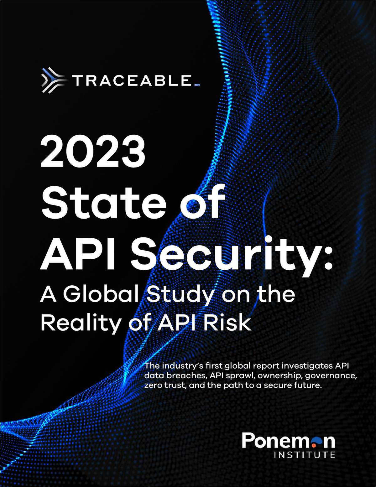 2023 State of API Security Report: Global Findings