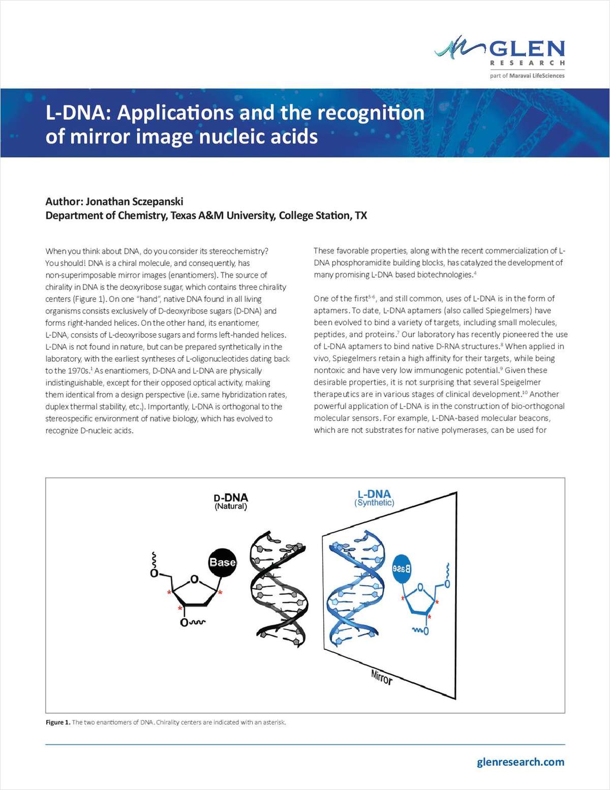 L-DNA: Applications and the Recognition of Mirror-Image Nucleic Acids