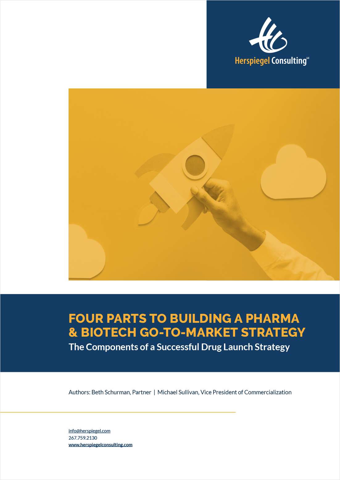Proven Pharmaceutical Go-To-Market Model