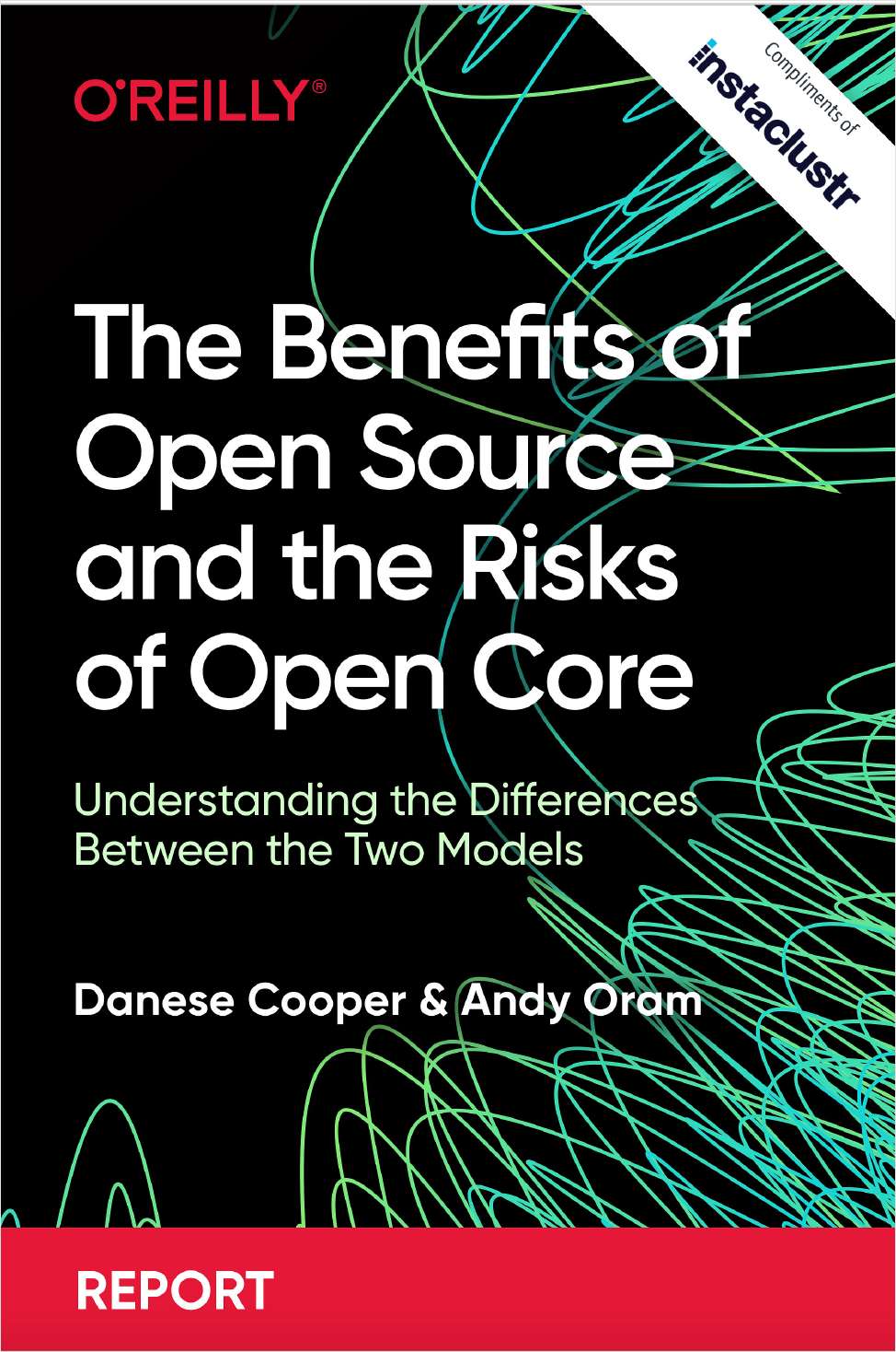Understanding the Difference Between the Open Source and Open Core
