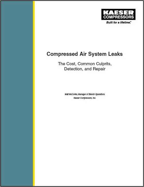 Compressed Air System Leaks