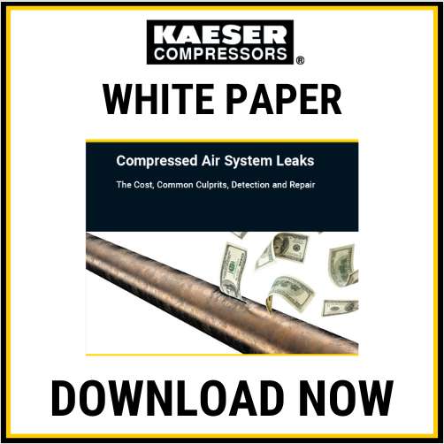 Compressed Air System Leaks: The Cost, Common Culprits, Detection and Repair