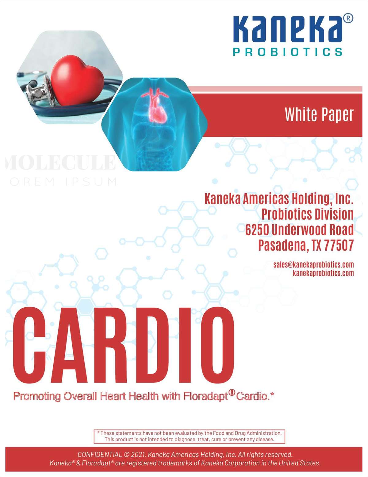 Kaneka Cardio