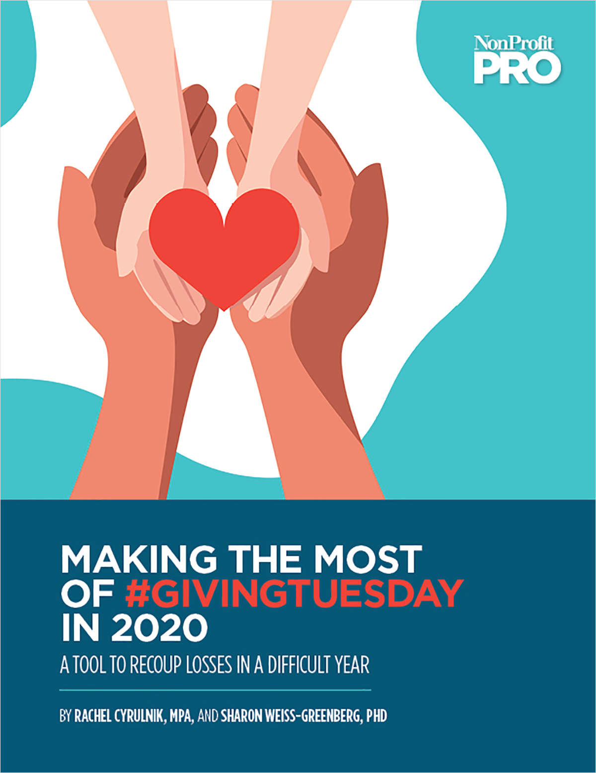Making the Most of #GivingTuesday in 2020