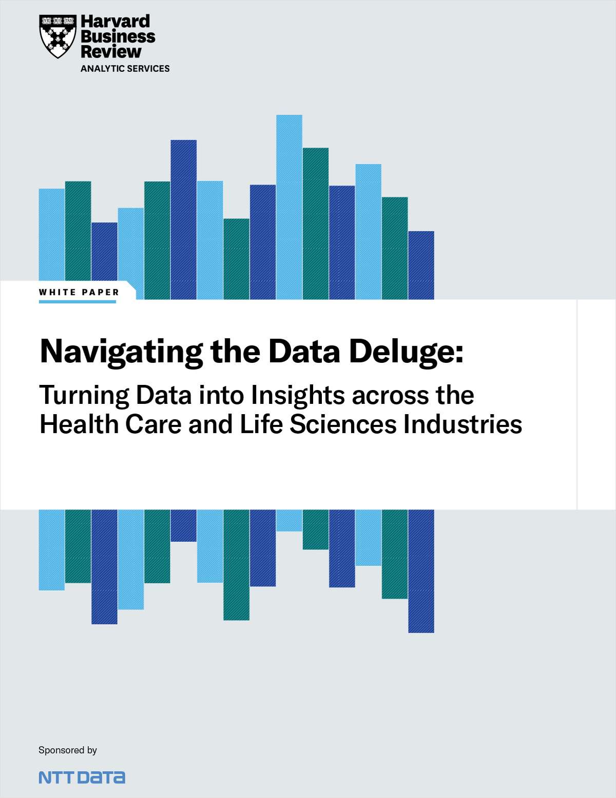 Navigating the Data Deluge: Turning Data Into Insights Across the 