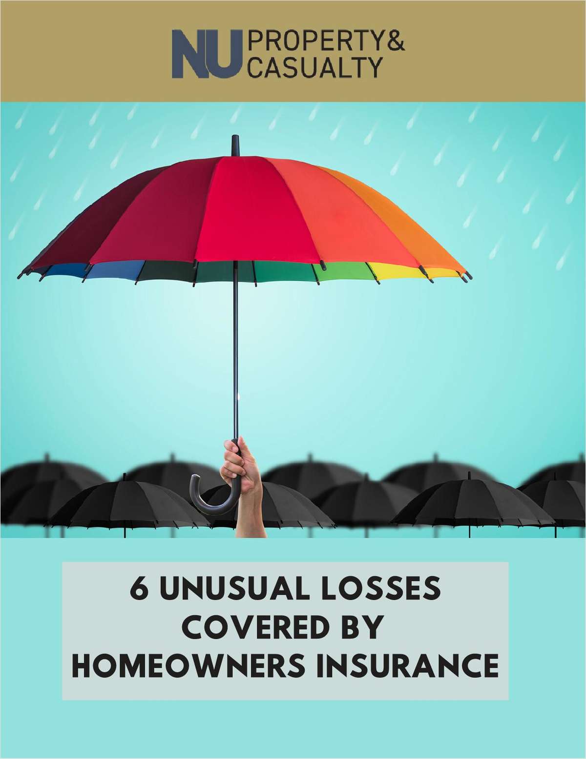 6 Unusual Losses Covered by Homeowners Insurance