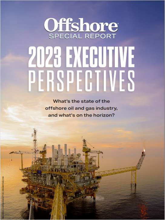 The 2024 Executive Perspectives Special Report