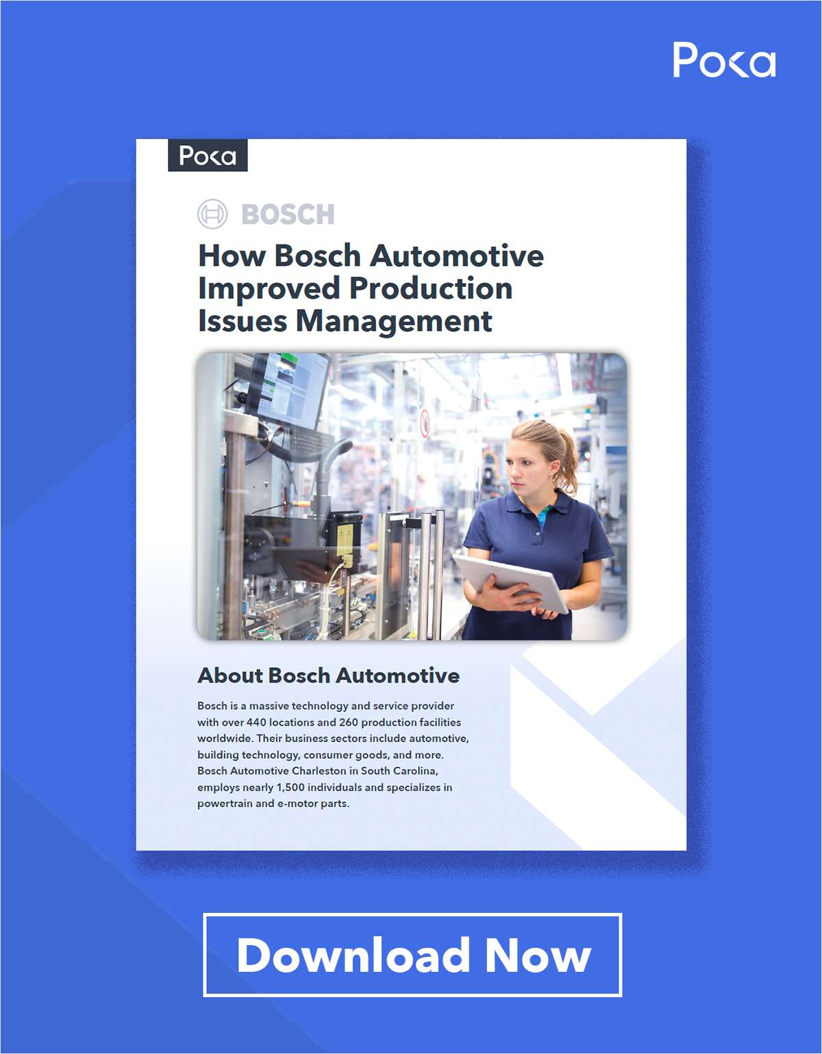 How Bosch Automotive Improved Production Issues Management with Poka