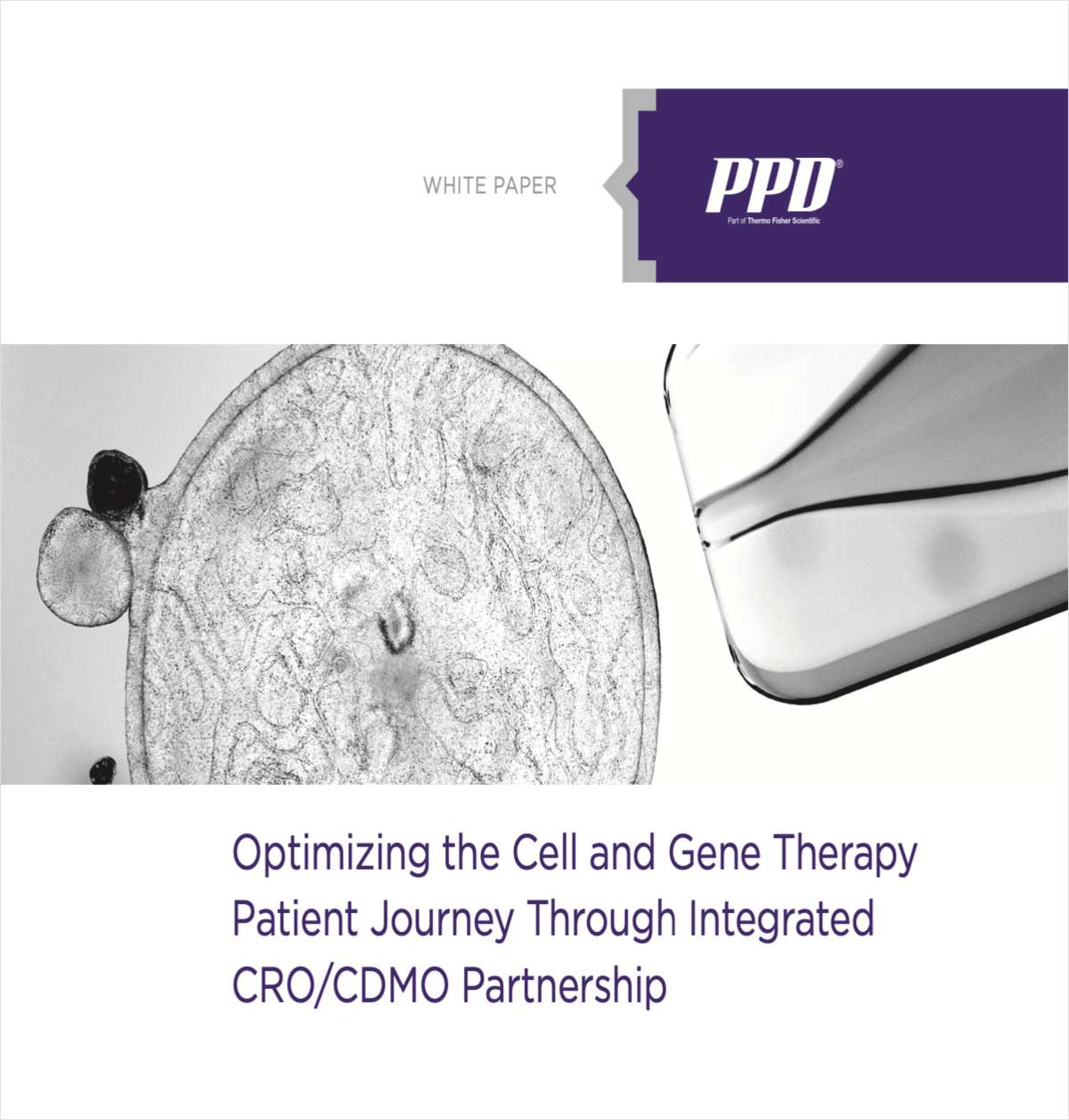 Optimizing the Cell and Gene Therapy Patient Journey