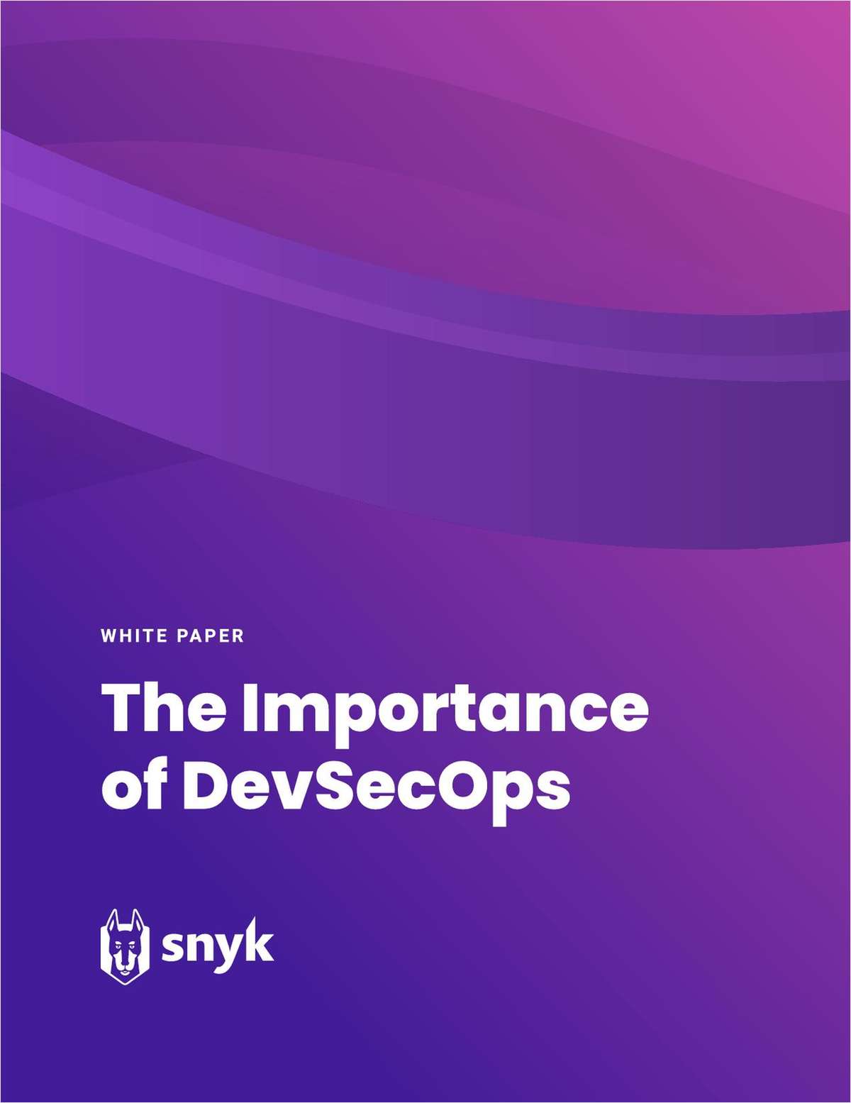 The Importance Adopting DevSecOps