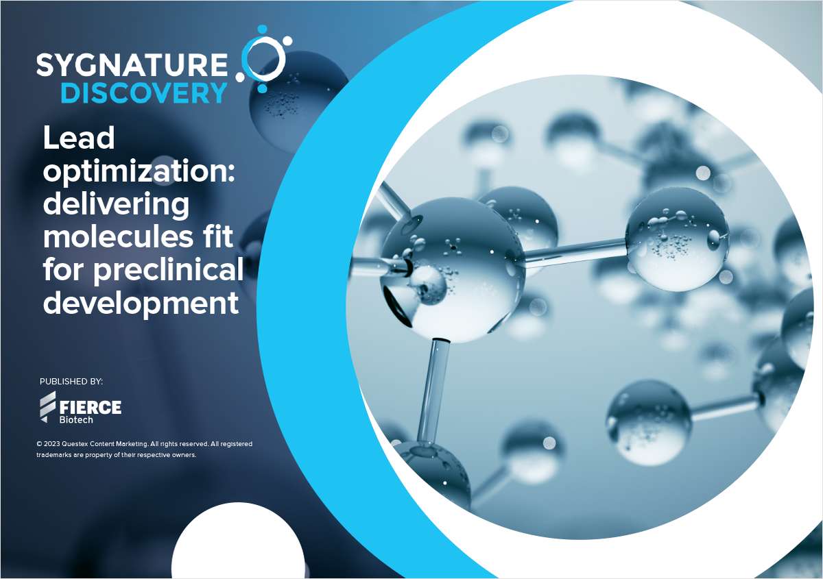 Lead optimization: delivering molecules fit for preclinical development