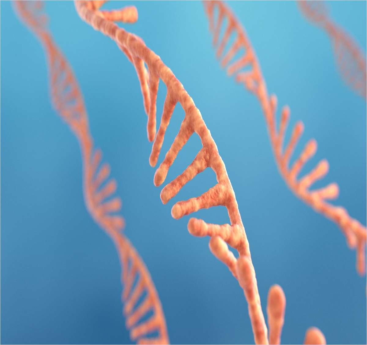 The Expanding World of RNA Therapies